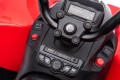 Quad Can-Am RENEGADE ATV na akumulator 4x4 skóra miękkie koła eva pilot 2.4 DK-CA002